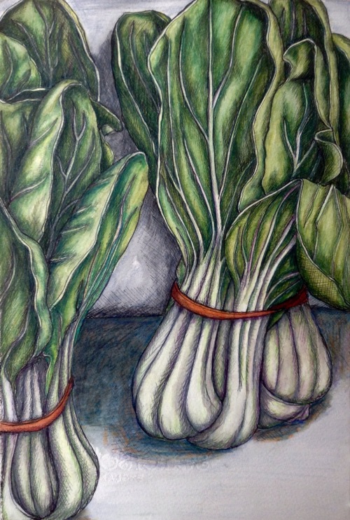 Bok Choy Farmers Market ink and watercolour pencils
