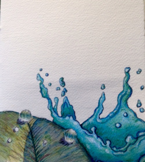 Splash, my contribution to the the front page  Water colour and ink